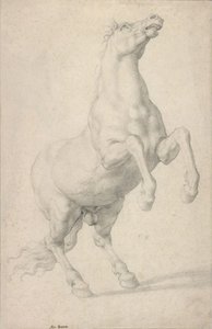 Cheval cabré - Agnolo Bronzino